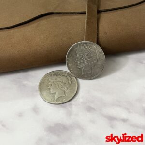 Harvey Dent's Two-Face Coin